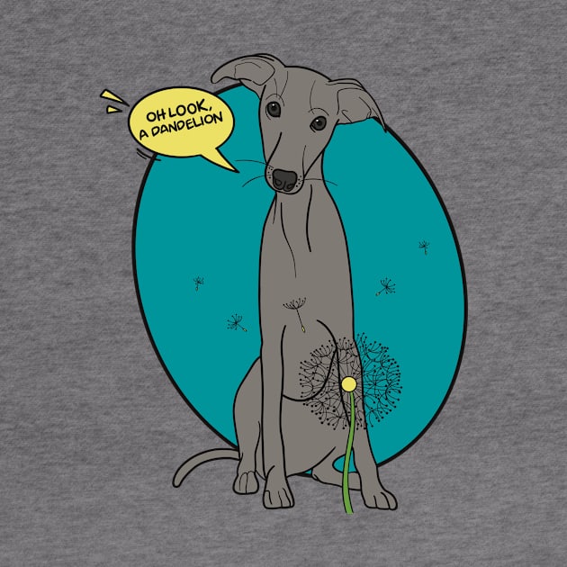 Funny greyhound design; Grey Italian greyhound with a dandelion flower by This Iggy Life